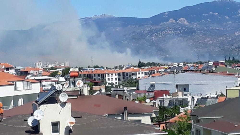 Buğday, arpa, fiğ ve yulaf ekili araziler kül oldu 