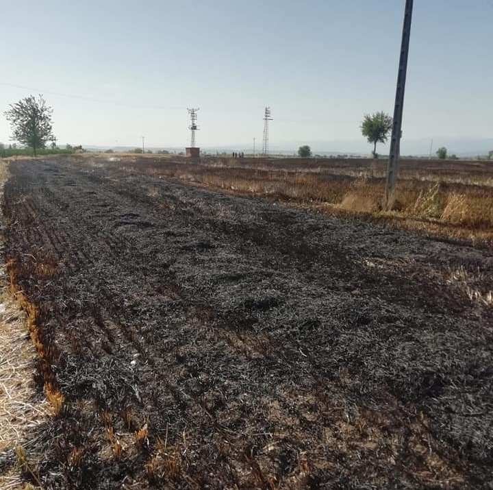 Buğday ekili tarla kül oldu 