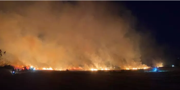 Buğday tarlaları bilerek mi yakılıyor? Bu kaçıncı yangın…