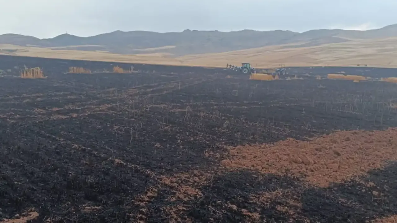 Buğday tarlasında dev yangın
