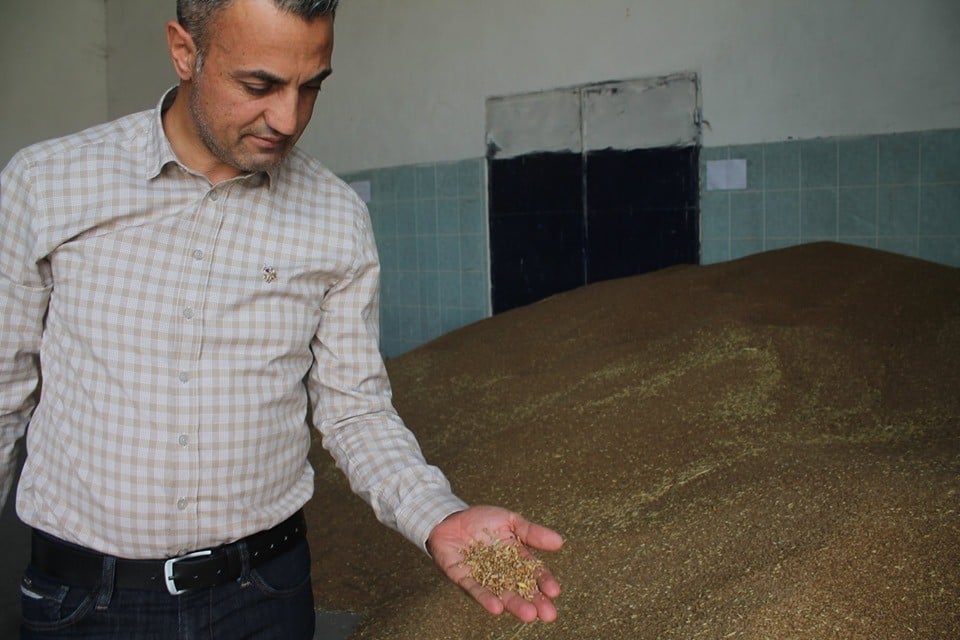 Buğdayın ton fiyatı bin 125 ile bin 350 TL arasında değişiyor 