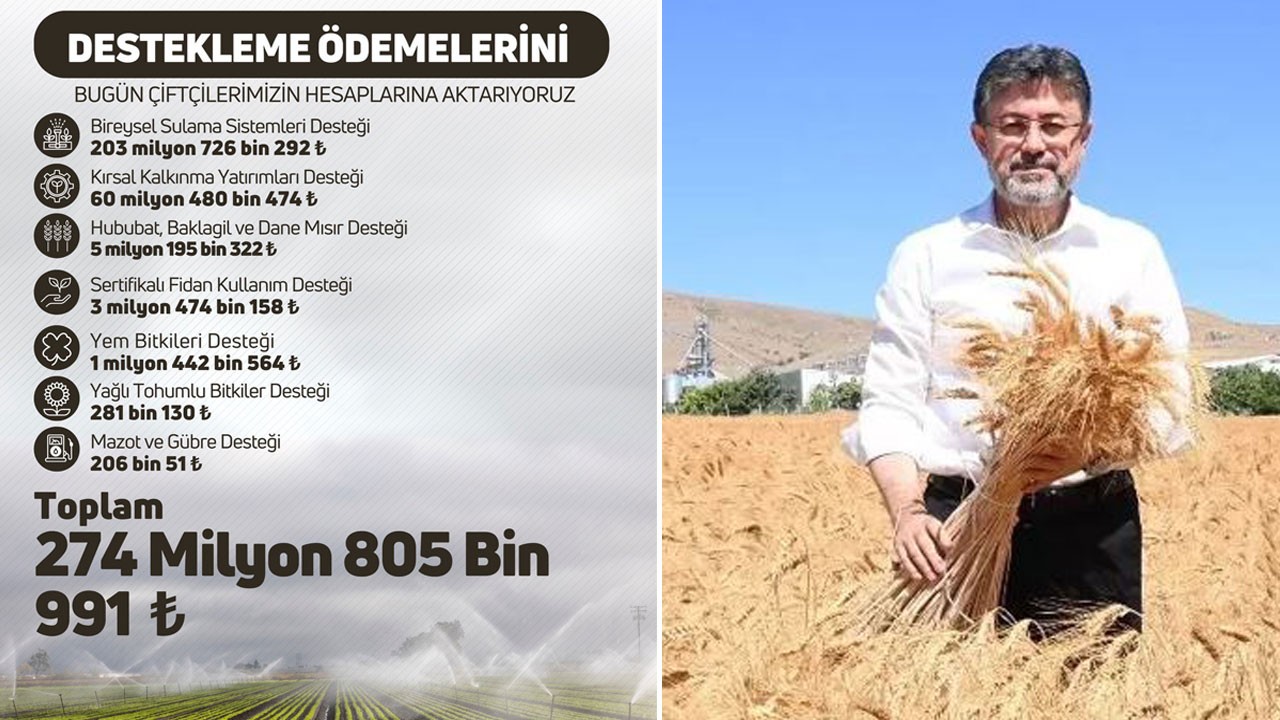 Bugün hesaplara yattı: Çiftçilere 274 milyon 805 bin lira tarımsal destek ödendi