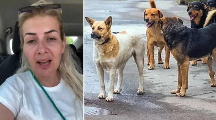 Buket Özgünlü Boyacı emlak zengini çıktı