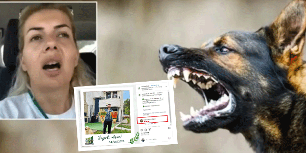 Buket Özgünlü Boyacı’da yok yok! 'Köpek Velisi' aile boyu ihya olmuş