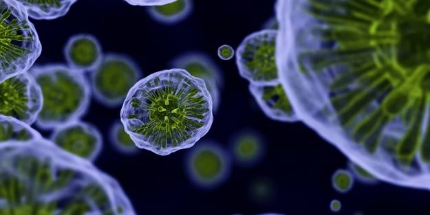 Bulaşıcı hastalıklar seyahat ile başlar; göç ile yerleşir!