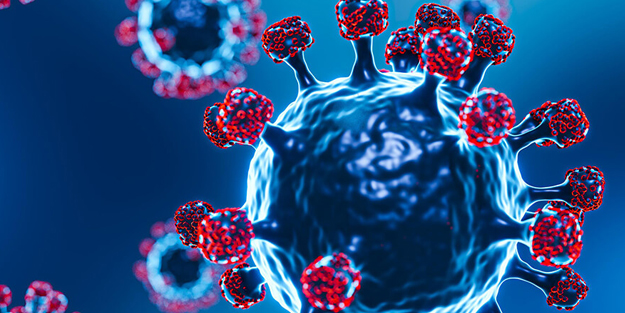 Bulaşıcı Hastalıklar Üst Komitesi'den 6 yeni karar açıklandı! İlişkin ortaya çıkan çok konuşulacak kararlar