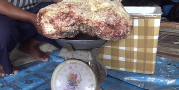 Bulduğu kaya parçası ile 2 milyonluk servete kondu