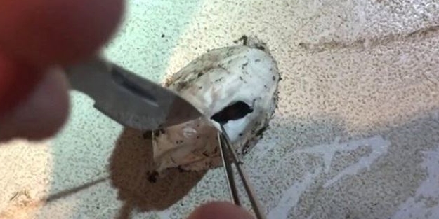 Bulduğu kesenin içindekiler hayrete düşürdü