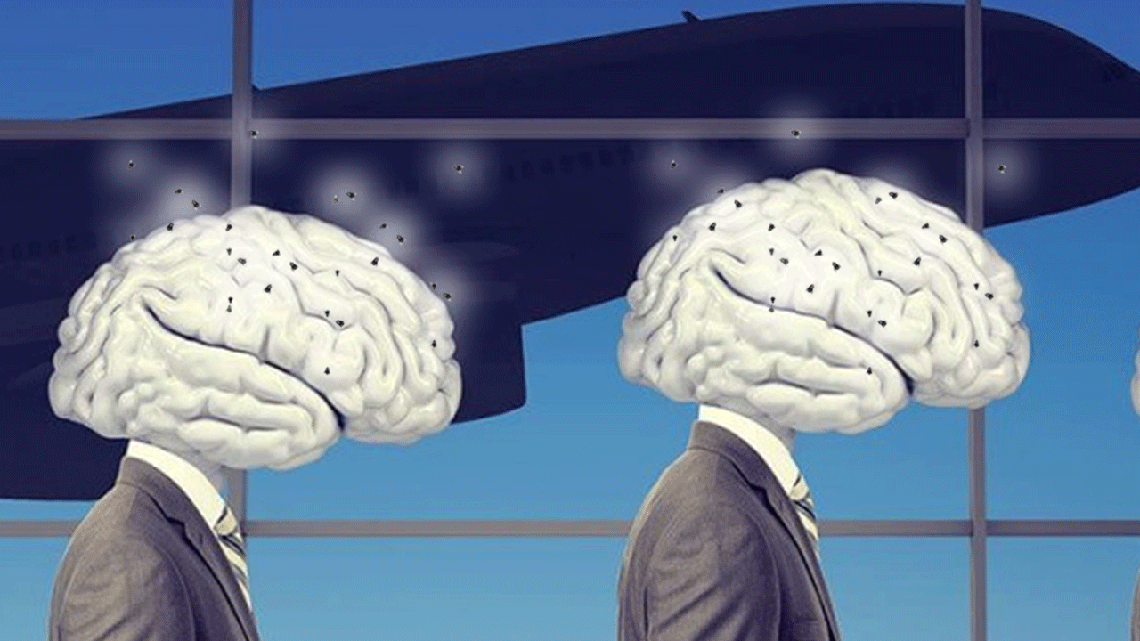 ‘Buldum buldum sineğin kanadını koparınca kulakları duymuyor’ “Beyin göçü” mü beyinsizlik gösterisi mi?