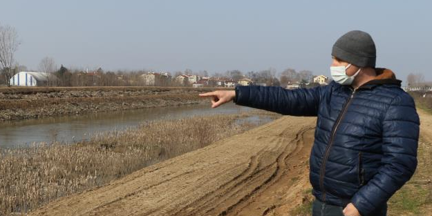 Bulgaristan'dan geldiler! İstilacı tür...