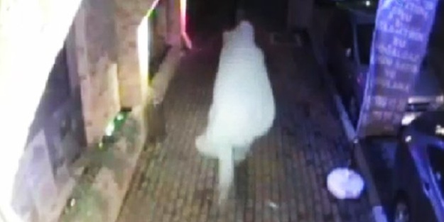 Bunlar hayalet değil, hırsız! / VİDEO