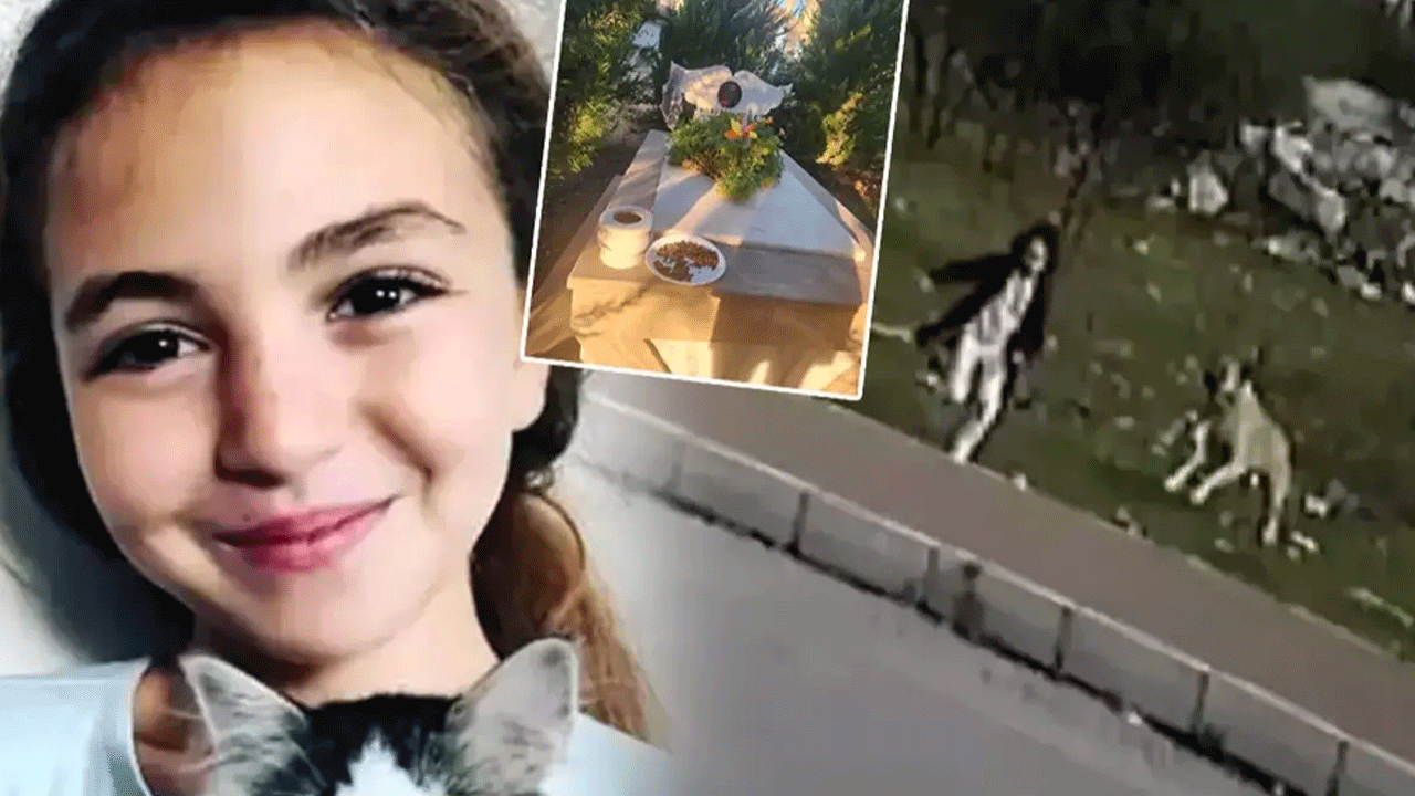 Bunlara verilecek en güzel ceza idam! Mahra'nın mezarında insanlık dışı olay