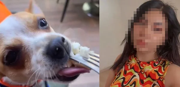 Bunlarda fındık kadar akıl yok! Yine Tiktok, yine skandal