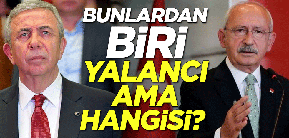 Bunlardan biri yalancı ama hangisi?