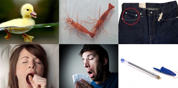 Bunları biliyor musunuz? - FOTO