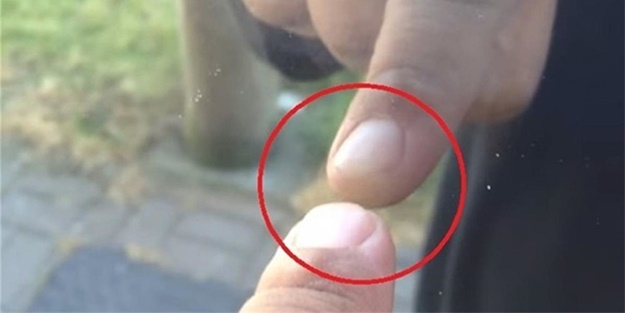 Bunları biliyor muydunuz? - FOTO