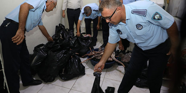 Bunları insanlara yedireceklerdi! Tam 1 ton