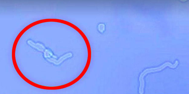 Bunları siz de görüyorsanız... Dikkat!