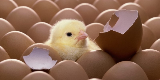 Bunu bilene ayda 13 bin TL maaş