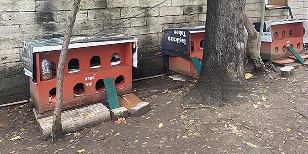 Bunu biliyor muydunuz? Dünyada ilk kez Osmanlı Devleti çıkardı
