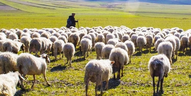 Bunu da duyduk! Bakın ne ithal edecekmişiz...