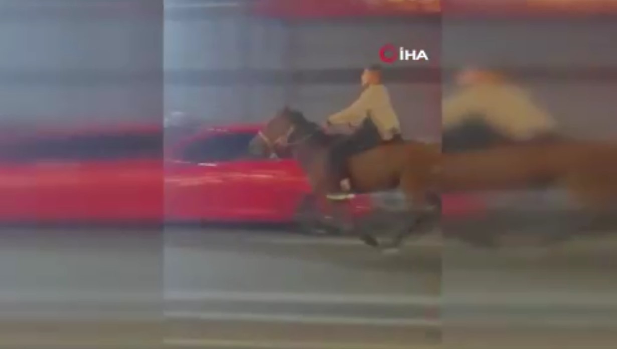 Bunu da mı görecektik! Cadde ortasında atla seyahat etti