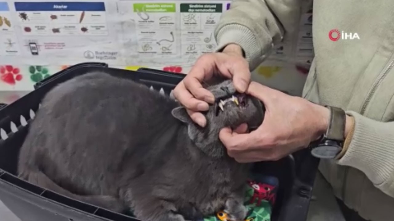 Bunu da mı görecektik! Türkiye'de bir ilki gerçekleştirdi