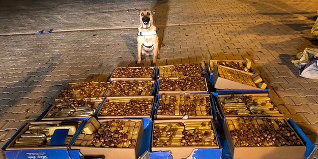 Bunu da yaptılar! Bakın eroini nereye saklamışlar