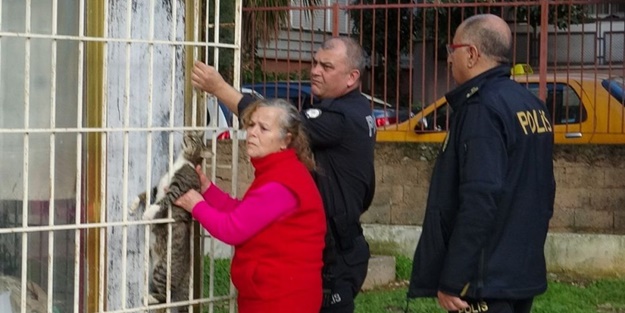 Bunu yapan insan olamaz! Dehşete düşüren görüntü