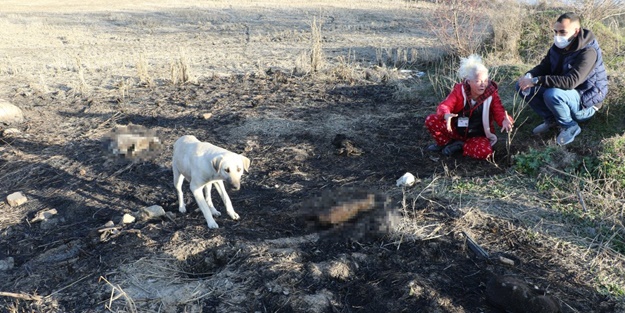 Bunu yapan insan olamaz!