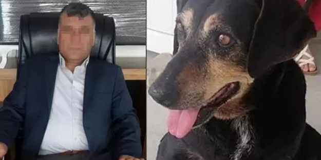Bunu yapan insan olamaz! Köpeğe bir ay boyunca işkence ve tecavüz