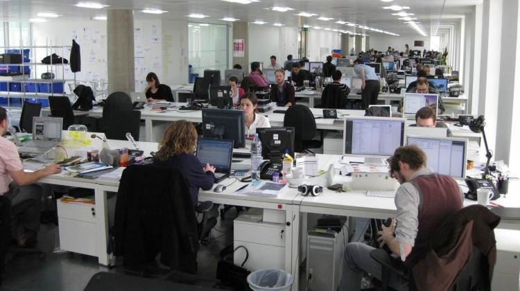 Bunu yapan kamu kurumlarında çalışamayacak