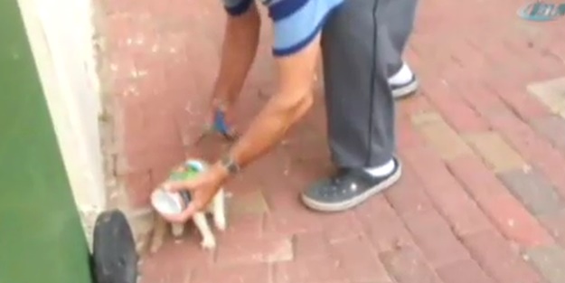 Bunu yapan nasıl insan?../VİDEO