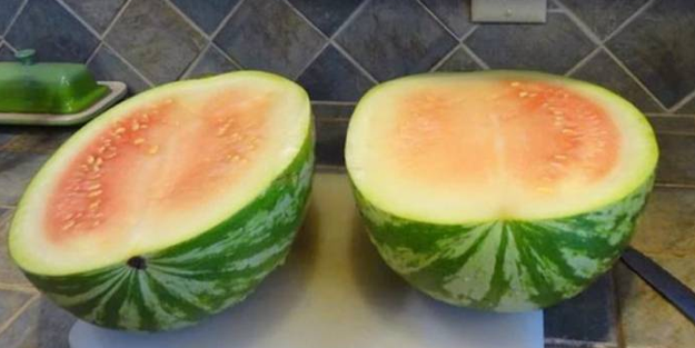 Bunu yapmak kimsenin aklına gelmemişti! Kelek karpuzda yeni dönem