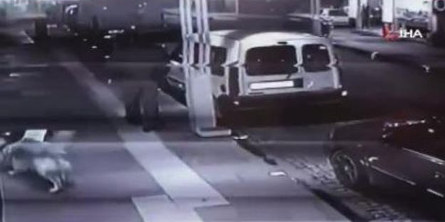 Bunun adı canilik! Köpeğini kediye saldırttı, yuvasını dağıttı