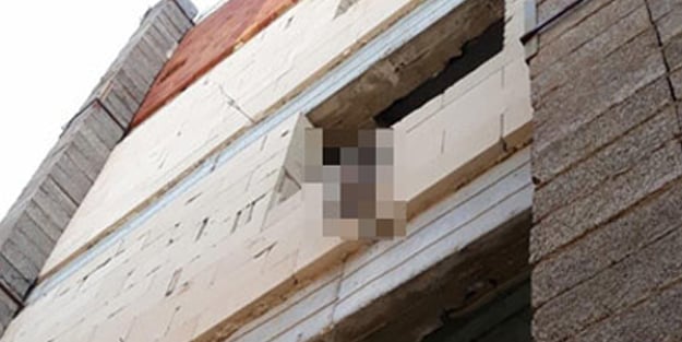 Bunun adı şerefsizlik! Yavru köpeği asarak öldürdüler