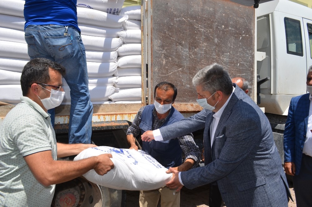 Bünyan’da öğretmen ve öğrenciler ihtiyaç sahiplerine 350 çuval un yardımı yaptı 