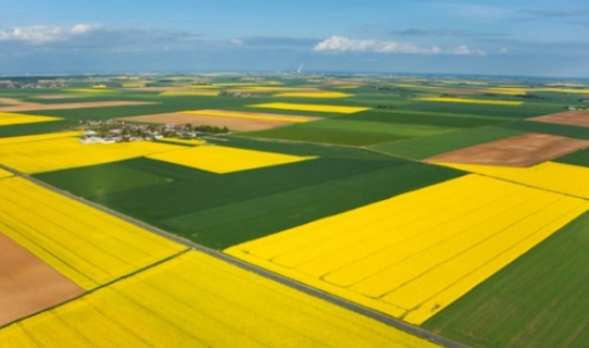 Burada evi, arsası, arazisi olanlar yaşadı! Resmen hazine üzerinde yaşıyorlarmış