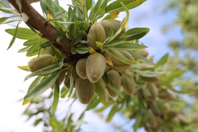 Burada yetişmez denildi ama o sabretti! 11 yılın sonunda ise…