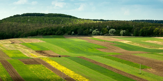 Buradan arsa alan zengin oldu! Döviz bazında yüzde 250 kazandırdı... Duyan bölgeye koşuyor
