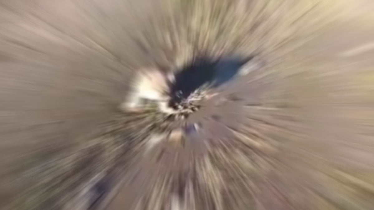 Burası Afrika değil Şanlıurfa! Yol kenarında bu aslanı görenlerin ağzı bir karış açık kaldı! Yetkililer her yerde onu arıyor