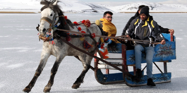 Burası Alaska'dan değil TÜRKİYE O ilimizde minibüsler değil atlı kızaklar çalışıyor