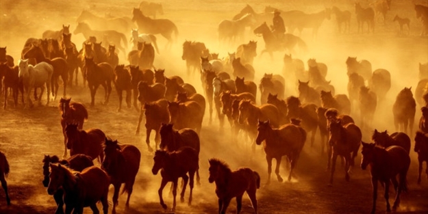 Burası Texas değil Türkiye
