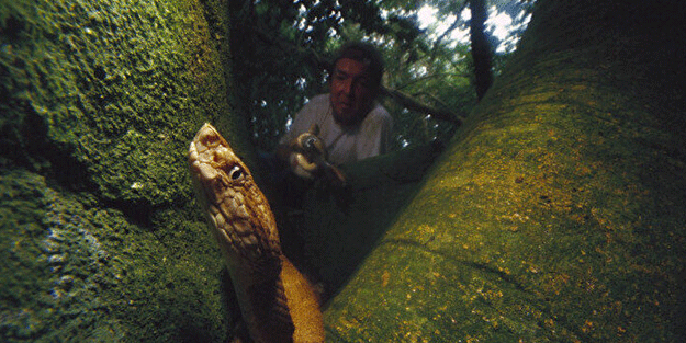 Buraya giren bir daha çıkamıyor: Girişler yasaklandı