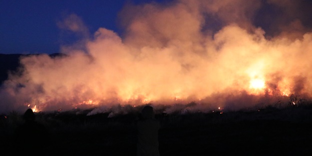 Burdur Gölü sazlığında yangın! 'Onların da günahına giriyorlar'