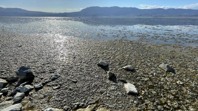 Burdur Gölü'nde suyun rengi değişti