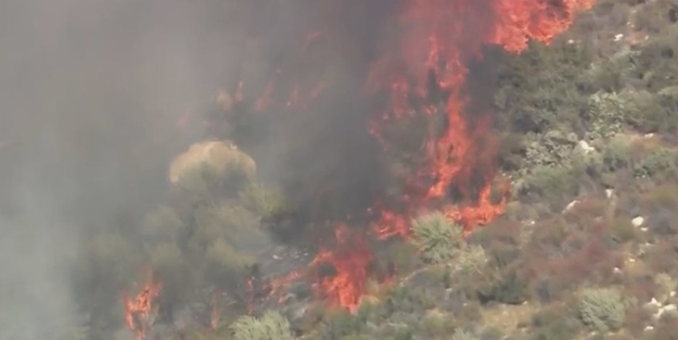 Burdur'da orman yangını