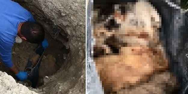 Burdur’da skandal olay! ‘’Belki de diri diri attılar…’’