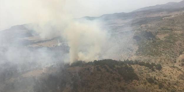 Burdur'daki orman yangınından güzel haber