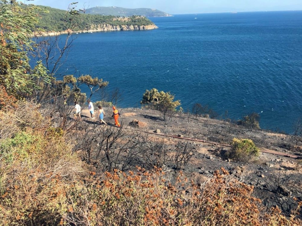 Burgazada’da orman yangını kontrol altına alındı 